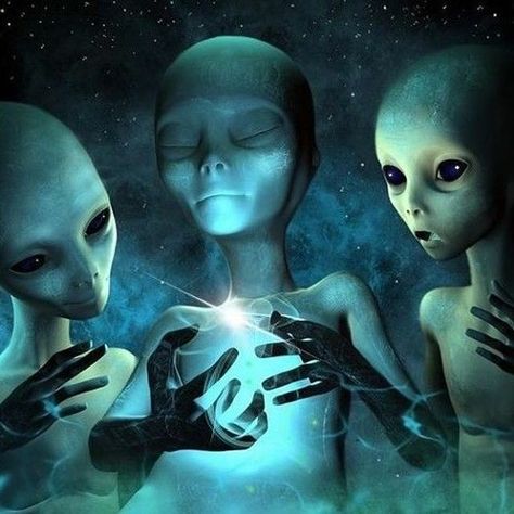 The Greys Aliens, Alien Pictures, Alien Photos, Ufo Art, Alien Artwork, Alien Drawings, Grey Alien, Ancient Astronaut, Alien Aesthetic