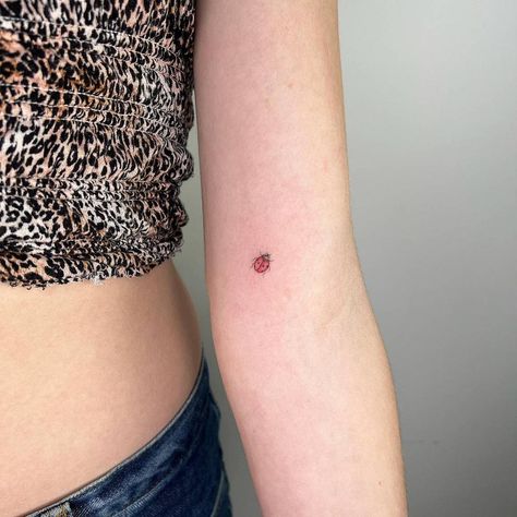 4 Dots Tattoo, Tiny Ladybug Tattoo, Dainty Ladybug Tattoo, Ladybird Tattoo, Colored Tattoo, Minimal Tattoo Ideas, Ladybug Tattoo, Lady Bug Tattoo, Bug Tattoo