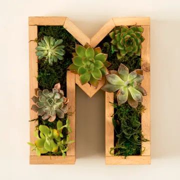 759 gifts for any gender | Uncommon Goods Letter Diy, Uncommon Goods, Thoughtful Gifts For Her, Unique Mothers Day Gifts, Unique Gifts For Men, Star Diy, Wooden Planters, Unique Gifts For Women, Unique Plants