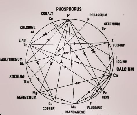 A visual of how minerals relate to each other. Minerals work together, not in isolation.   For example, Calcium depletes Magnesium and can lead to blood pressure issues.  Maintaining mineral balance is vital to physical and mental health. Stress is a major factor that depletes minerals, especially magnesium.  If you are supplementing a mineral, be cautious of any negative effects you may experience as a result of depleting its opposing mineral. Gem Hardness Scale, Gemstone Hardness Scale, Mineral Balancing, Mohs Scale Of Hardness Gems, Fulvic Minerals, Blood Pressure, Health And Nutrition, Twitter Instagram, Physics