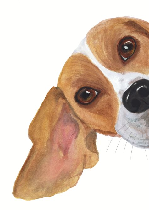 Hungarian Vizsla Drawing, Dogs Watercolor Paintings, Cute Beagle Drawing, Cute Dog Watercolor, Painting Clipart, Dogs Watercolor, Cute Dog Art, Watercolor Dogs, Dog Watercolor Painting