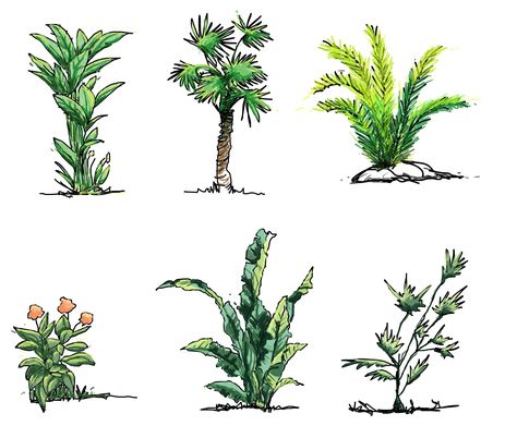 Hand drawn shrubs/plants download - sketchy shrubs and plants How To Draw Trees, Shrubs For Landscaping, Plant Sketches, Landscape Design Drawings, Architecture Drawing Sketchbooks, Landscape Architecture Drawing, Interior Architecture Drawing, Tree Sketches, Landscape Sketch