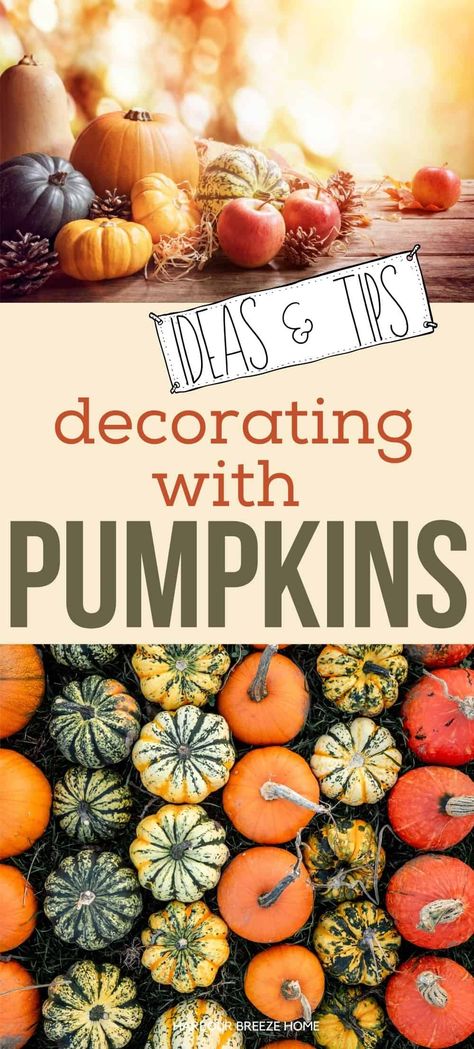 Easy & creative ways to decorate for Fall with pumpkins for striking displays - plus tips & tricks for best results. Decorate With Pumpkins Indoors, Decorating With Pumpkins Indoors, Decorating With Pumpkins For Fall, Pumpkin Display Ideas, Fall Pumpkin Display, Pumpkin Throwing Up, Christmas Tree Topper Rustic, Decorating With Pumpkins, Decorating Your Office At Work