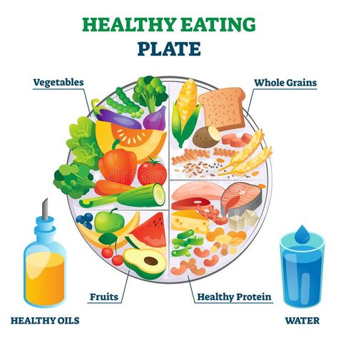 Healthy eating plate vector illustration. Labeled educational food example. Healthy eating plate vector illustration. Labeled educational food examp Healthy Food Plate, Healthy Eating Posters, Healthy Eating Pyramid, Balanced Diet Chart, Healthy Eating Plate, Healthy Food Chart, Diet Plate, Healthy Food Habits, Nutrition Chart