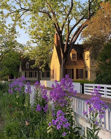 Colonial Aesthetic, Colonial Garden, Colonial Times, Williamsburg Virginia, Cottage Garden Design, Colonial America, Williamsburg Va, Colonial Williamsburg, Architecture Exterior