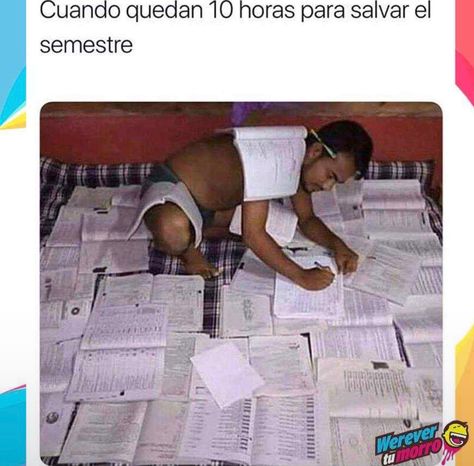 Si se puede xD University Memes, Studying Funny, Studying Memes, College Memes, Mood Humor, Funny Reaction Pictures, Reaction Pictures, Mood Pics, Funny Images