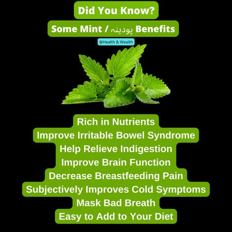 mint benefits for health
green tea with mint benefits
mint benefits for hair
mint benefits and side effects
peppermint benefits and side effects
peppermint benefits and uses
mint tea benefits before bed
boil mint leaves in water benefits
mint benefits during pregnancy
benefits of drinking mint water in morning for weight loss
mint extract benefits
peppermint benefits essential oil
peppermint extract benefits
peppermint extract benefits for skin Watercress Benefits, Peppermint Benefits, Mint Tea Benefits, Green Apple Benefits, Benefits Of Lime, Mint Leaves Benefits, Peppermint Essential Oil Benefits, Mint Benefits, Mullein Tea