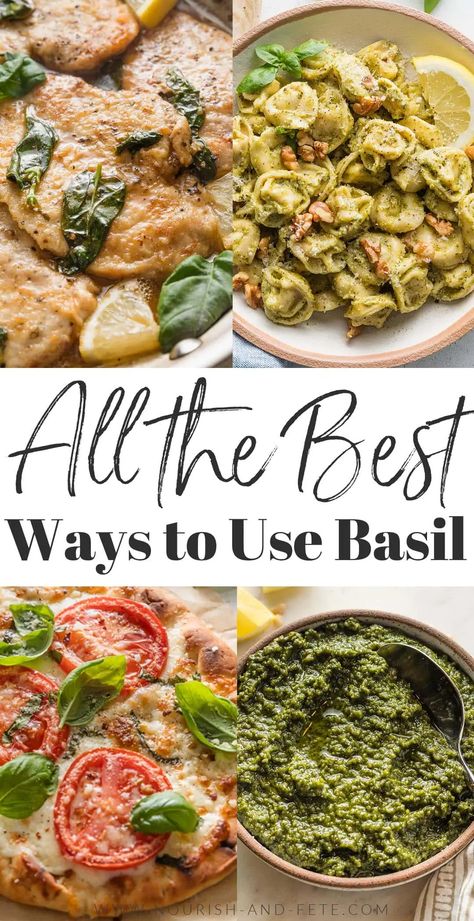 Basil is the ultimate herb: a little sweet, a little savory, totally vibrant, and the easiest to grow at home, regardless of whether you have a big space or not. If you are lucky enough to have more basil than you know what to do with, read on for some ideas to take your basil usage beyond pesto and into creative, new, and delicious territory. What To Do With Lots Of Basil, Dinners With Basil, Cooking With Basil, Healthy Basil Recipes, Recipes With Basil Pesto, Basil Pesto Recipe Meals, What To Do With Pesto, Basil Recipes Dinner Ideas, Recipes Using Basil