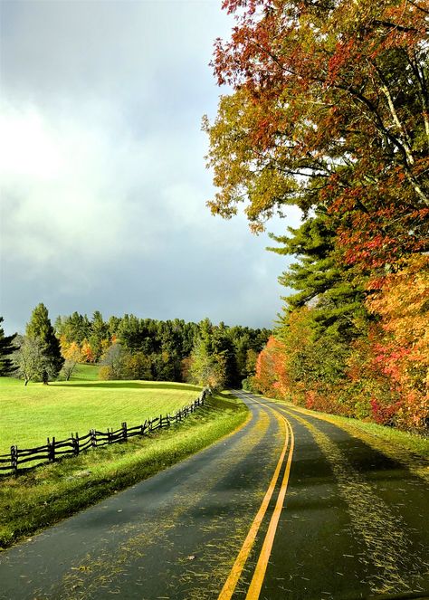 Blowing Rock Nc, Blowing Rock, Blue Ridge Parkway, Blue Ridge Mountains, Blue Ridge, North Carolina, Country Roads, Trees, Wallpapers