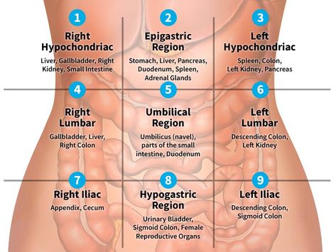 Medical Assistant Student, Basic Anatomy And Physiology, Nurse Study Notes, Nursing Student Tips, Medical Student Study, Nursing School Survival, Medical School Inspiration, Medical Facts, Nursing School Tips