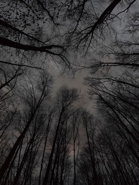 ominous woods, cloudy sky, dark aesthetic, witchy Nature, Earth Dark Aesthetic, Dark Hazy Aesthetic, Witchy Woods Aesthetic, Grey Woods Aesthetic, Dark Leaves Aesthetic, Dark Outdoors Aesthetic, Witchy Dark Aesthetic, Cloudy Aesthetic Dark