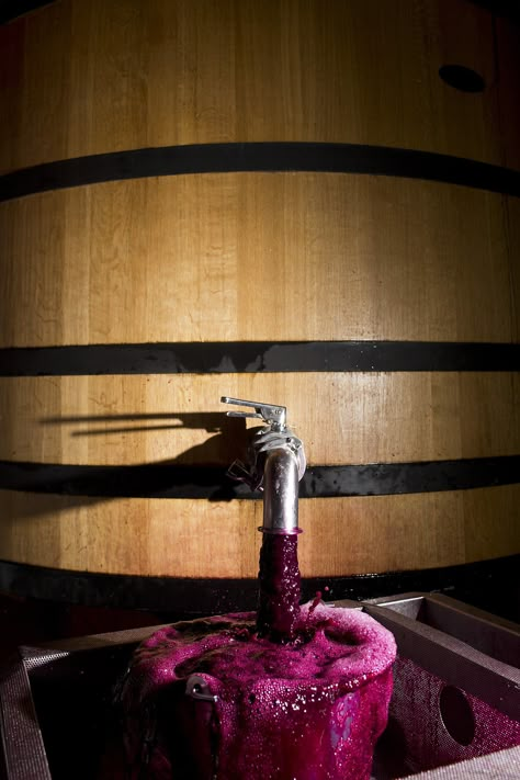 Winemaking Aesthetic, Winery Marketing, Wine Process, Winery Aesthetics, Wine Fermentation, Vineyard Estate, Napa Vineyards, Napa Wineries, Brewery Design