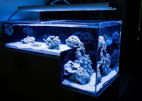 Amazing drop off reef tank Drop Off Reef Tank, Saltwater Tank Setup, Aquarium House, Marine Fish Tanks, Aquarium Set, Saltwater Fish Tanks, Reef Tanks, Marine Tank, Aquarium Landscape