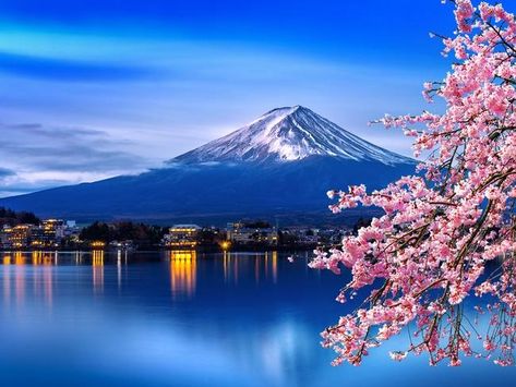 Mt Fuji guide: How to get to Mt Fuji from Tokyo, best time to visit | Photos | escape.com.au Cherry Blossoms, Cherry Blossom, Blossom, Cherry, Japan