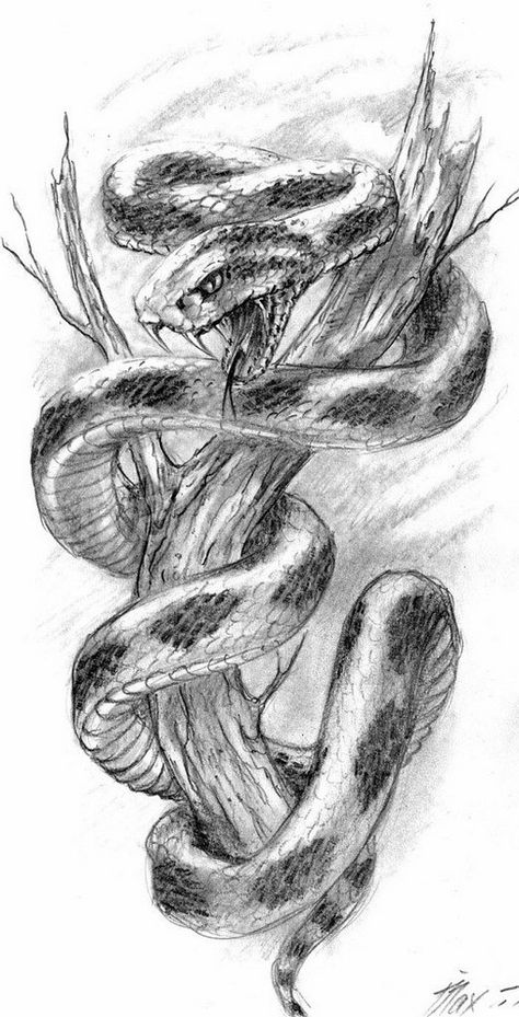 Snake Wrapped Around Drawing, Rattlesnake Tattoo, Snake Sketch, 3d Pencil Drawings, Snake Drawing, Gcse Art Sketchbook, Snake Tattoo Design, Africa Animals, Animal Illustration Art