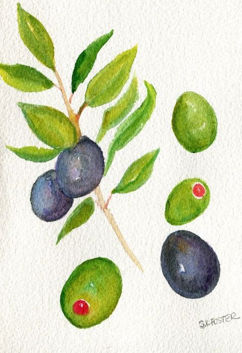 Olives Drawing, Yachtie Life, Olive Drawing, Olive Painting, Olive Illustration, Olive Watercolor, Olive Tattoo, Olive Art, Branch Watercolor