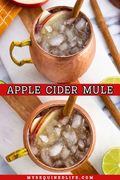 An apple cider mule in a frosty copper mug garnished with apple slices and a cinnamon stick. Fall Martini Recipes Vodka, Thankgiving Cocktail, Vodka Mule Recipe, Fall Martinis Recipes, Apple Cider Drinks Alcohol, Cider Alcohol Drinks, Apple Cider Alcohol, Friendsgiving Recipe, Apple Cider Mule