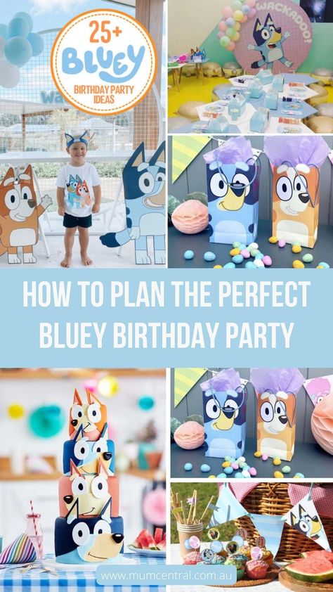 3 Year Birthday Bluey, Bluey Birthday Adopt A Floppy, Blue Goodie Bags, Third Birthday Bluey Theme, Bluey Themed Cocktails, Bluey Birthday Party For Siblings, Bluey Party Supplies, Three Year Old Bluey Party, Bluey Birthday Party Dessert Table