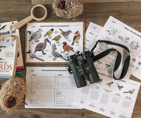 Bird Watching Aesthetic, Birdwatching Aesthetic, Marlee Core, Biology Aesthetic, Wildlife Biology, 10 Year Plan, Wildlife Biologist, Youth Hostel, Bird Free