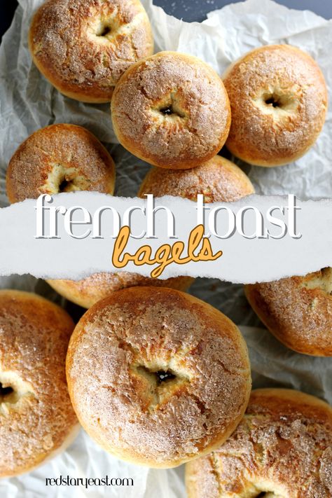 Why choose between French toast and bagels for breakfast when you can have both? These fluffy, soft bagels are easy to bake and taste just like classic French toast with maple, cinnamon, brown sugar and vanilla flavors. Don’t forget the cream cheese! Maple French Toast Bagel Recipe, Best Homemade Bagels, Easy Begal Recipe, Ny Style Bagels Recipe, Homemade Cinnamon Bagels, Cinnamon Swirl Bagels, Bagels Flavors, Bagel Seasoning Ideas, Cinnamon Bagel Recipe