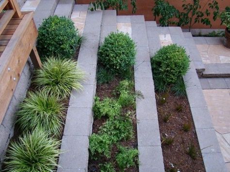 25 Wonderful Examples of Terraced Front Yard Gardens Sloped Backyard Landscaping, Sloped Backyard, Tiered Garden, Sloped Garden, Small Backyard Gardens, Garden Types, Have Inspiration, Garden Pictures, Backyard Garden Design