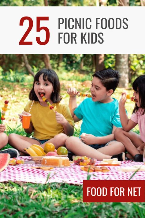 Picnic Foods For Kids, Picnic Food Kids, Kids Picnic Foods, Kids Picnic Parties, Chicken Sushi, Picnic Menu, Homemade Jerky, Cheese Whiz, Space For Kids