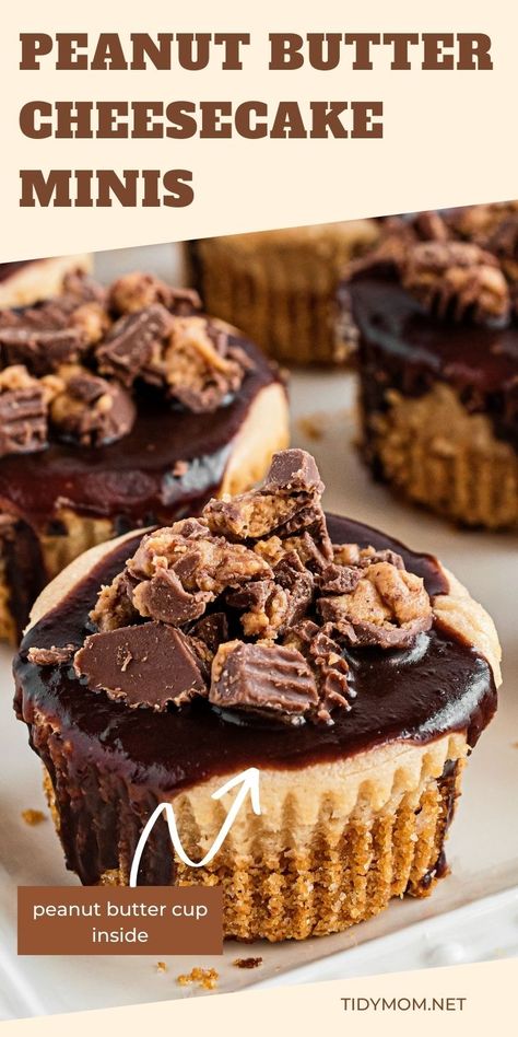 Mini Peanut Butter Cheesecake, Cheesecake With Chocolate Ganache, Cheesecake Minis, Peanut Butter Cheesecake Recipes, Cheesecake With Chocolate, Peanut Butter Cup Cheesecake, Butter Desserts, Chocolate Peanut Butter Cheesecake, Mini Cheesecake Recipes