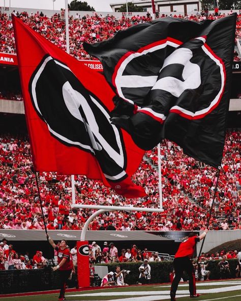 Dawg Nation, you are unlike any other!! Next up, Notre Dame at home with an 8 p.m. kickoff!! 🏈 #GoDawgs Georgia Bulldogs Aesthetic, Georgia Football Aesthetic, Uga College Aesthetic, Uga Wallpapers, Ugh Wallpaper, University Of Georgia Aesthetic, Uga Aesthetic, Georgia Bulldogs Wallpaper, Football Vibe