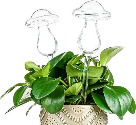 🌻 Self Watering System：This self-watering device will automatically water your plants for up to1-2 weeks, very suitable for busy workdays or during vacations. The glass watering bulb releases water slowly into the soil to keep the plants hydrated for days. 🍄 Transparent Mushroom Design 🌻 Multi Use 🌻 Premium Quality 🌻 Simple to Use Plant Waterer, Watering Bulbs, Indoor Plant Gifts, Mushroom Plant, Patio Plants, Glass Mushrooms, Mushroom Design, Propagating Plants, Planting Bulbs