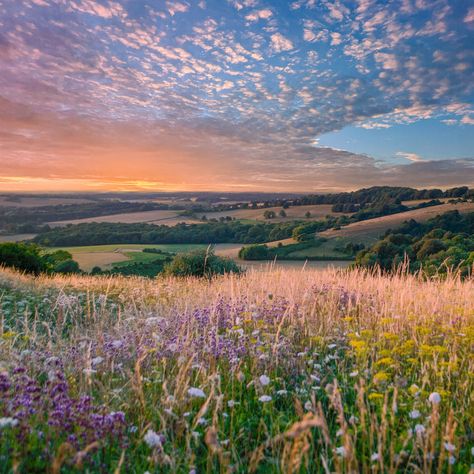 The South Downs, The Peak District and Bannau Brycheiniog (the Brecon Beacons) are just 3 of the UK's National Parks. Read our guide to the full 15 (link in our bio) and don't forget to nominate for the National Park Protector Awards 2024 with @campaign4parks . Which is your favourite National Park? #Nationalparks #Breconbeacons #peakdistrict #southdowns #nature #uknationalparks Countryside Photography, Country Living Uk, Pembrokeshire Coast, North York Moors, Best Weekend Getaways, Genius Loci, South Downs, Uk Trip, Brecon Beacons