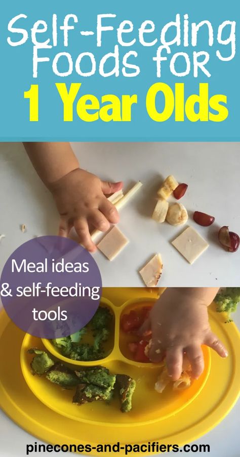 Self-Feeding Foods for One Year Olds - Pinecones and Pacifiers 1 Yo Meal Ideas, 12month Old Food Meal Ideas, Foods For One Year Olds, 12 Month Old Food, Meals For One Year Old, Meal Ideas For One, Ideas For One Year Olds, One Year Old Foods, Weaning Ideas