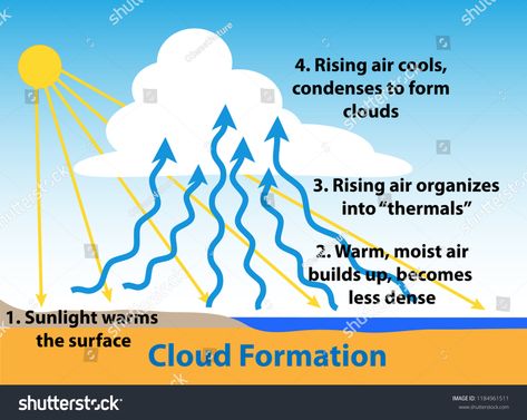 Cloud formation science diagram. How clouds form as sunlight warms the ground, air rises and condenses.diagram#clouds#form#Cloud Science Diagram, Worksheet Number, Science Diagrams, Physics Notes, Diagram Design, Weather And Climate, Christmas Drinks, Life Science, Science Experiments