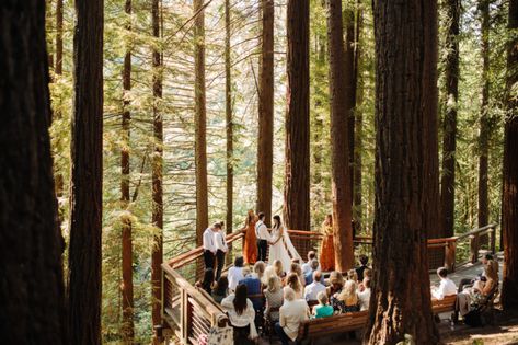 Deck Wedding, Redwood Deck, Hoyt Arboretum, Portland Wedding Venues, Redwood Decking, Redwood Wedding, Redwood National Park, Portland Wedding Photographer, Downtown Portland