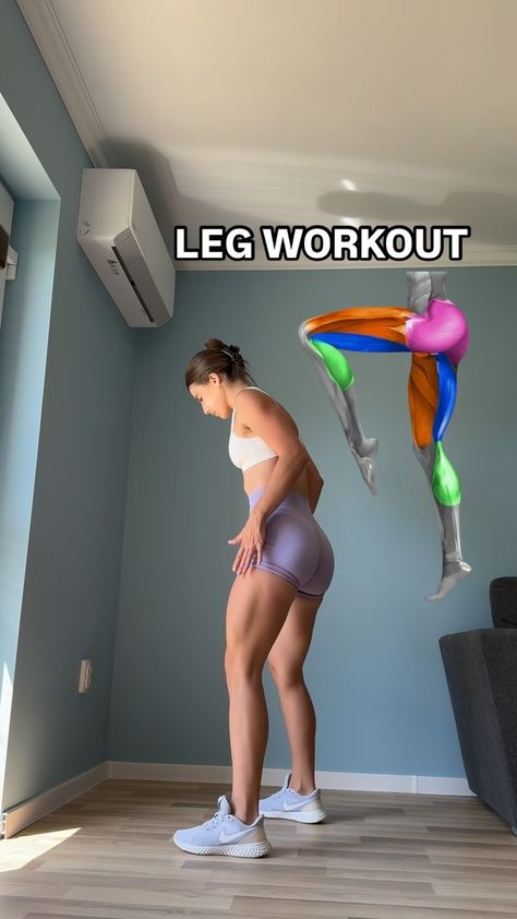 WORKOUTS & NUTRITION TIPS | LEG WORKOUT 🦵 No equipment for this amazing workout 👌 but I promise you it will help you shape and tone your legs 🦵 Save the post for��… | Instagram Leg Workout Women At Home, Leg Home Workout, Women Leg Workout, Workout Women At Home, Home Workout For Women, Leg Workout Women, Workout No Equipment, Workout Women, Leg Workouts