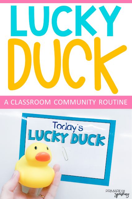 Incentives For Preschoolers, Lucky Ducky Classroom Management, Lucky Ducky Classroom, Kindergarten Classroom Behavior Management, Classroom Management Ideas Preschool, Behavior Boards Classroom, Classroom Duck Theme, Classroom Management For Preschool, Kindergarten Discipline Ideas