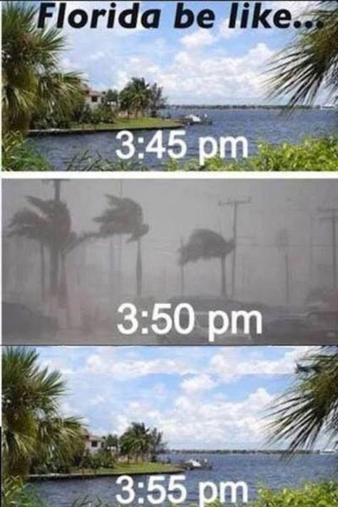 14. And of course, we can't forget that famous Sunshine State weather. Humour, Florida Funny, Florida Weather, Funny P, Bloc Party, Florida Girl, E Mc2, Funny Bunnies, E Card