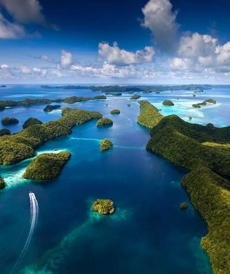 6 interesting facts about the Rock Islands in Palau you should know about Earth Pictures, Island Paradise, Rock Island, Destination Voyage, Palau, In The Ocean, Unesco World Heritage, Places Around The World, Phuket