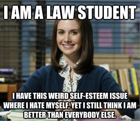 Law School Memes, Law School Quotes, Law School Humor, In Laws Humor, Lawyer Quotes, Legal Humor, Lawyer Humor, Lawyer Jokes, Law School Life