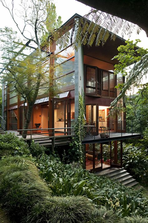 New Zealand Architecture, Jungle House, New Zealand Houses, Architecture Awards, Forest House, Kauai, Auckland, Future House, House Decor