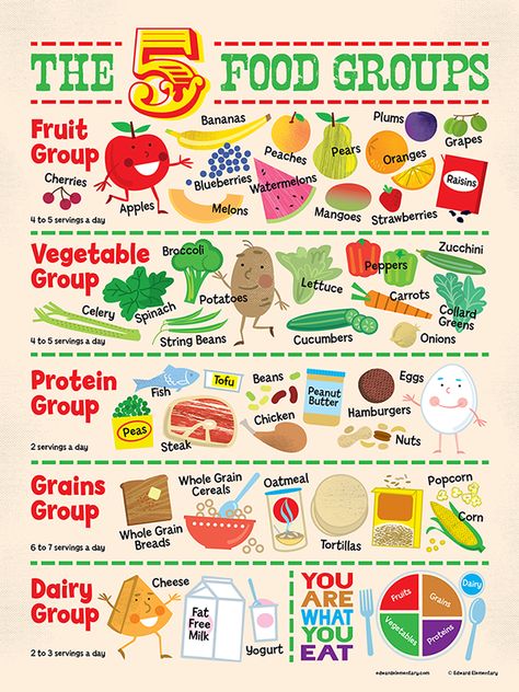 Food Groups Poster on Behance Food Groups Chart, Food Groups For Kids, 5 Food Groups, Zucchini Vegetable, Five Food Groups, Healthy Food Chart, Protein In Beans, Nutrition Activities, Nutrition Chart