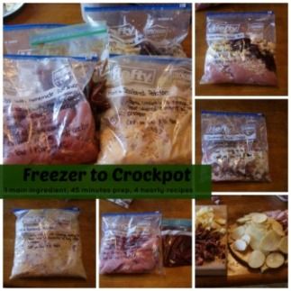 pork-collage Freezer Appetizers, Pork Freezer Meals, Slow Cooker Appetizer, Chicken Recipes Slow Cooker, Resep Makanan Beku, Crockpot Foods, Sunday Prep, Slow Cooker Appetizers, Cooking Pork