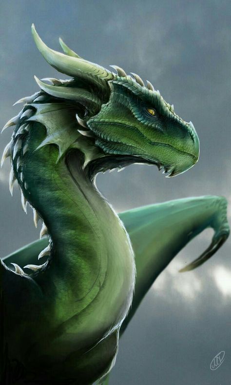 Dragon, green; Dragons Inheritance Cycle, Cool Dragons, Dragon Rider, Dragon Pictures, Green Dragon, Dragon Artwork, Mythical Creatures Art, Dragon Drawing, Mythological Creatures