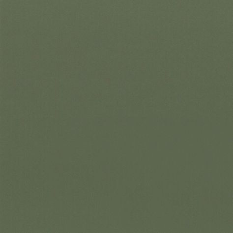 Olive Green Wallpaper, Rosemary Green, Sage Green Wallpaper, Dark Green Aesthetic, Solid Color Backgrounds, Olive Green Color, Color Analysis, Aesthetic Colors, Colour Board