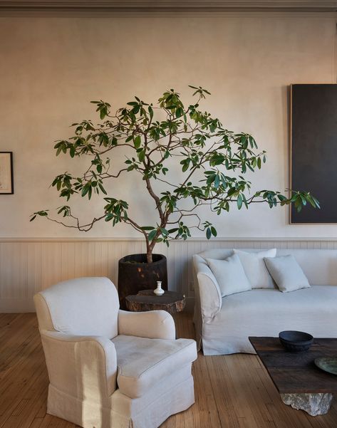 Indoor Plant Stands, Loft Style Apartment, Colin King, Daybed Design, Indoor Tree, Indoor Trees, Branch Decor, New York Apartment, Plant Stands