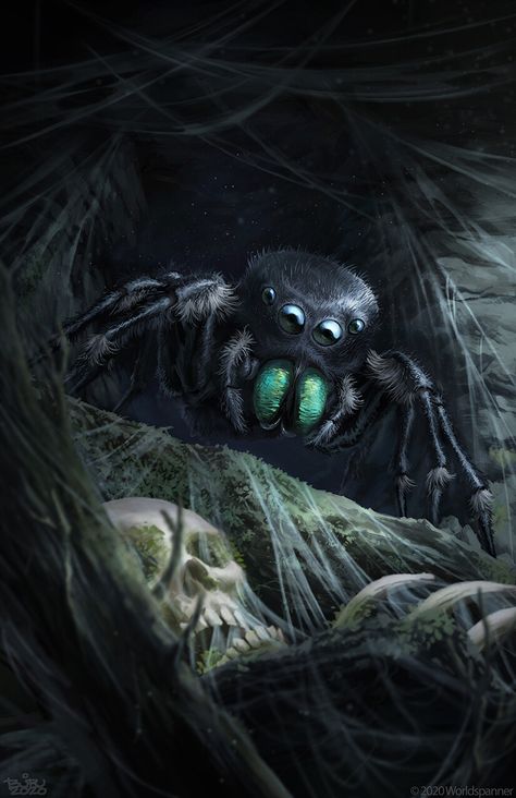 ArtStation - Giant Spider - Worldspanner Flip Books Art, Spider Illustration, Spider Drawing, Big Spiders, Wolf Spider, Inktober 2023, Pet Spider, Creepy Spider, Giant Spider