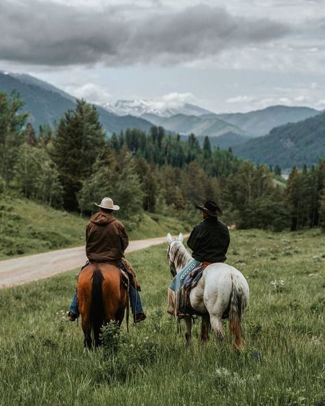 Ranch Wyoming, Wyoming Travel, Horse Ranch, Great Western, Ranch Life, Hereford, Horse Life, Pretty Horses, Jackson Hole