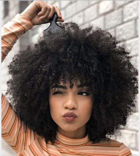 Who doesn't want to look fabulous and chic round the clock without spending too much time on maintenance?  Caring for ethnic hair can be tricky for some - here are our top four low-maintenance hairstyles for ethnic hair so you can look fabulous at all times.  Read now  #hairblog #afro #blackwomen #lowmaintenance #blackwomenhairstyles #blackwomenhair #black #blackwoman #shorthair #hairtrend #hairstyles #hairstyle #IlesFormula #HairJournals #HairCare #HairProducts #HairTips #WendyIles Curly Hair, Natural Hair, Curly Hair Tips, Ethnic Hair, Pinterest Hair, Hair Curly, Hair Hacks, Her Hair, Curly Hair Styles