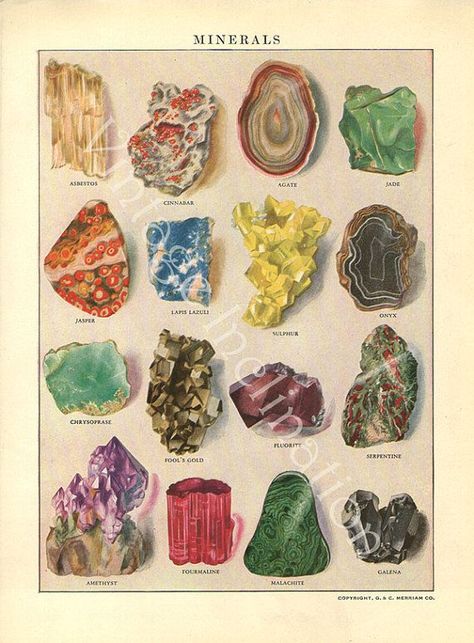 Types Of Rocks, Minerals Print, Minerals Art, Gemstones Chart, Superflat, Pinup Art, 1920s Art, Scientific Illustration, Art Collage Wall