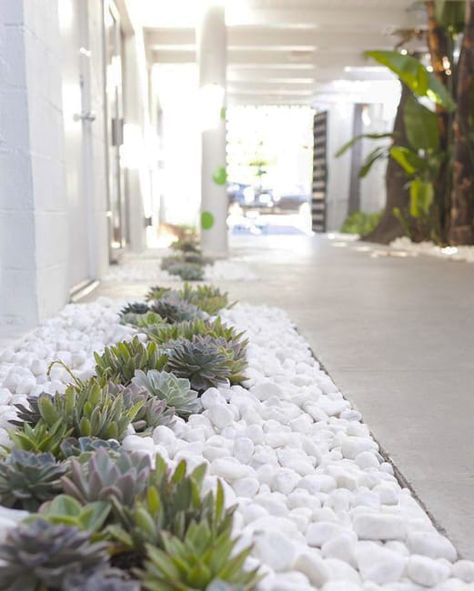 White Rocks in Yard Landscaping, Creative and Contemporary Design Ideas Diy Succulent Wall, Garden Ideas Vegetable, Garden Front Yard, Rock Yard, White Rocks, Landscaping Around Trees, Diy Entryway, Front Landscaping, Low Maintenance Landscaping