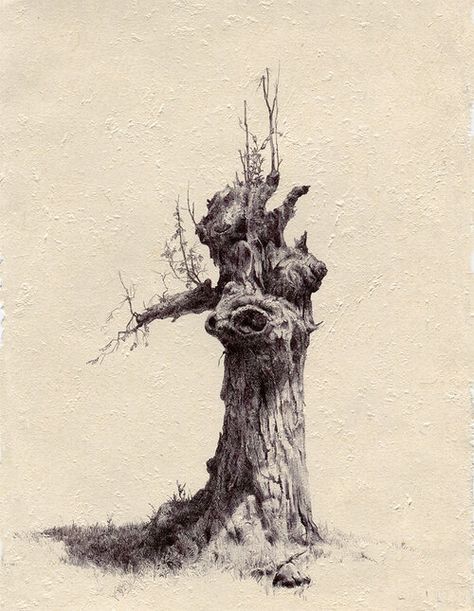 Dina Brodsky, Tree Drawings Pencil, Pencil Trees, Too Real, Tree Sketches, Landscape Sketch, Old Tree, Pinturas Disney, Landscape Drawings